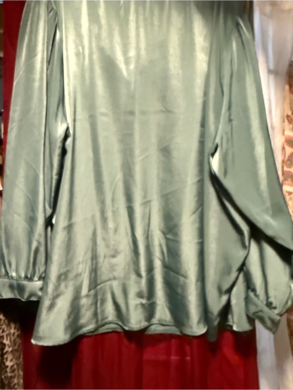 Silky Teal V-Neck Long-Sleeve Blouse - Picture 8 of 8